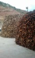 /album/fotogaleria-inicio/a057-jpg/